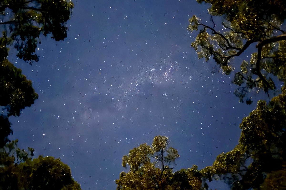 西澳西南露營三日兩夜・星光下的營火
