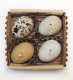 egg.jpg