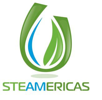 steamer professional car cleaner