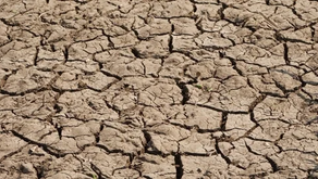 Between Scorched Earth and Rising Waters: Stories from Africa’s Climate Frontlines