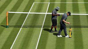 New victim of Heat wave: Wimbledon Grass