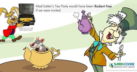 IMG_9772.jpeg