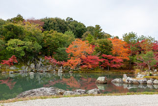 天龍寺