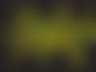 Coronavirus et obésité : les conséquences de notre société de surconsommation