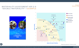 Materiality Assessment cover.png