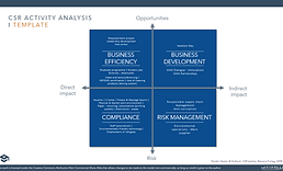 csr activity analysis 1.png
