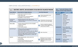 empl volunteering.jpg