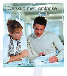 Drejebog 1_Overskud med omtanke.png