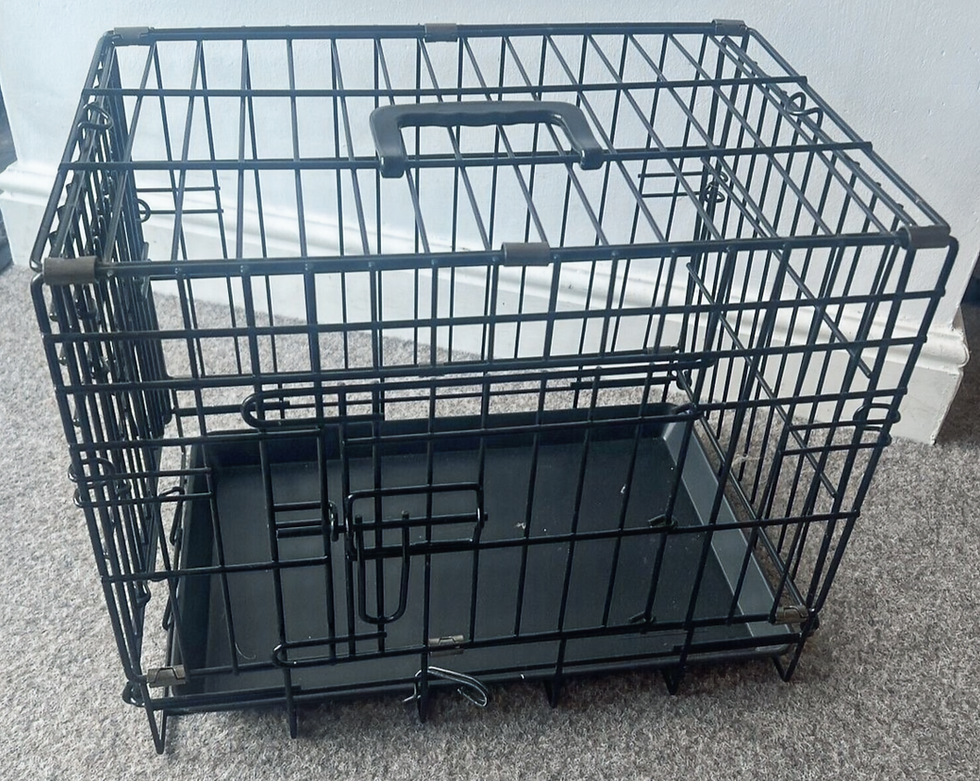 Small Metal Dog Cage Disposed By Fast Paid Disposal SG