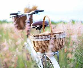 AdobeStock_168205704.jpeg