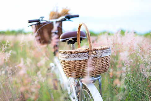 AdobeStock_168205704.jpeg