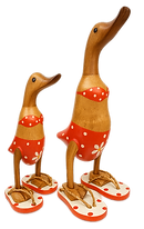 WOODEN DUCK IN BIKINI.png