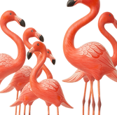 FLAMINGO.png