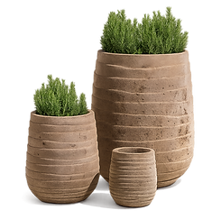 20250917_2028_Brown Planters Display_remix_01k5bt730nefp814ejbx2ghd17.png