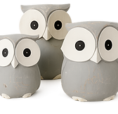 GREY OWLS.png