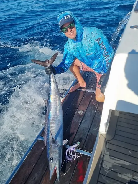Closeup of Wahoo at boat, being safely unhooked