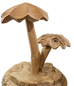 WOOEN MUSHROOM.png