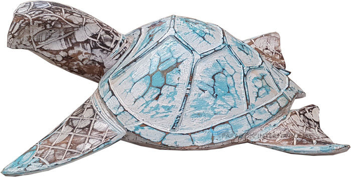 Wooden Turtle
