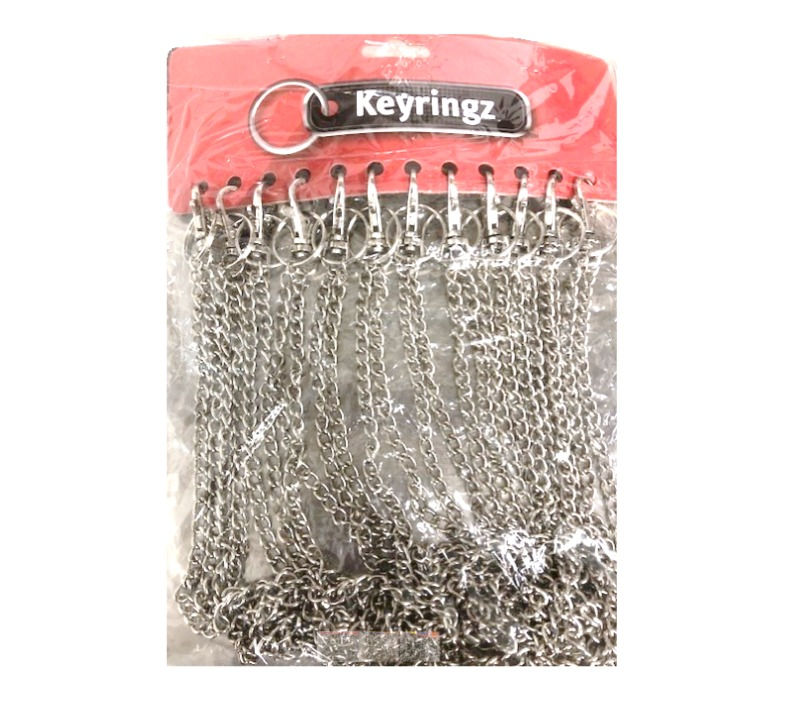 Thin Metal Key Chains With Clip - Card of 12