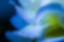 Engagement without Overwhelm Nov 28th