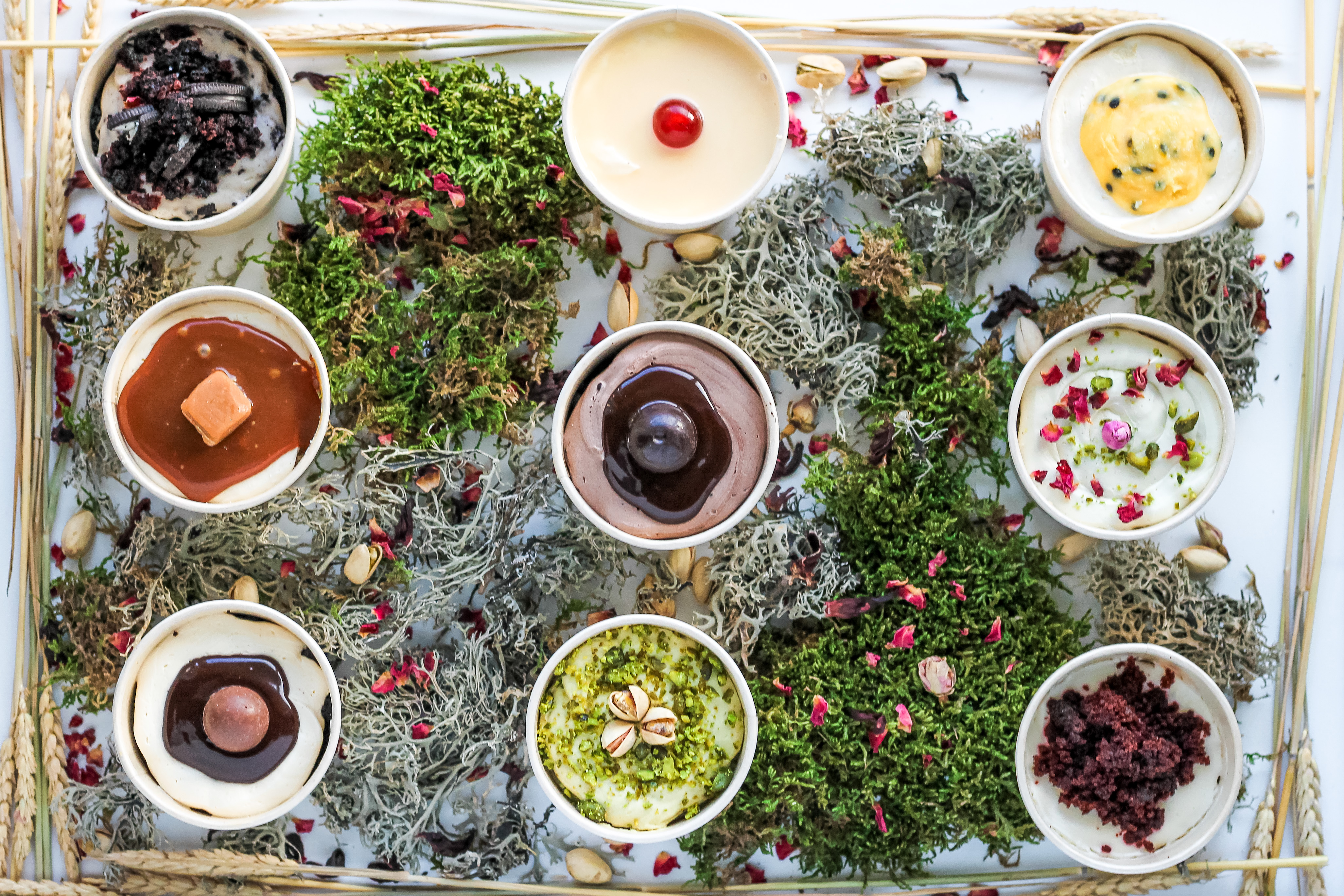 Arranged Food and Objects