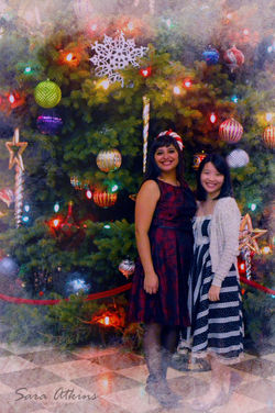 Christmas Weddings