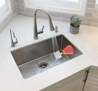 coral in sink side.jpg