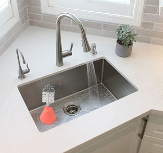 coral in sink.jpg