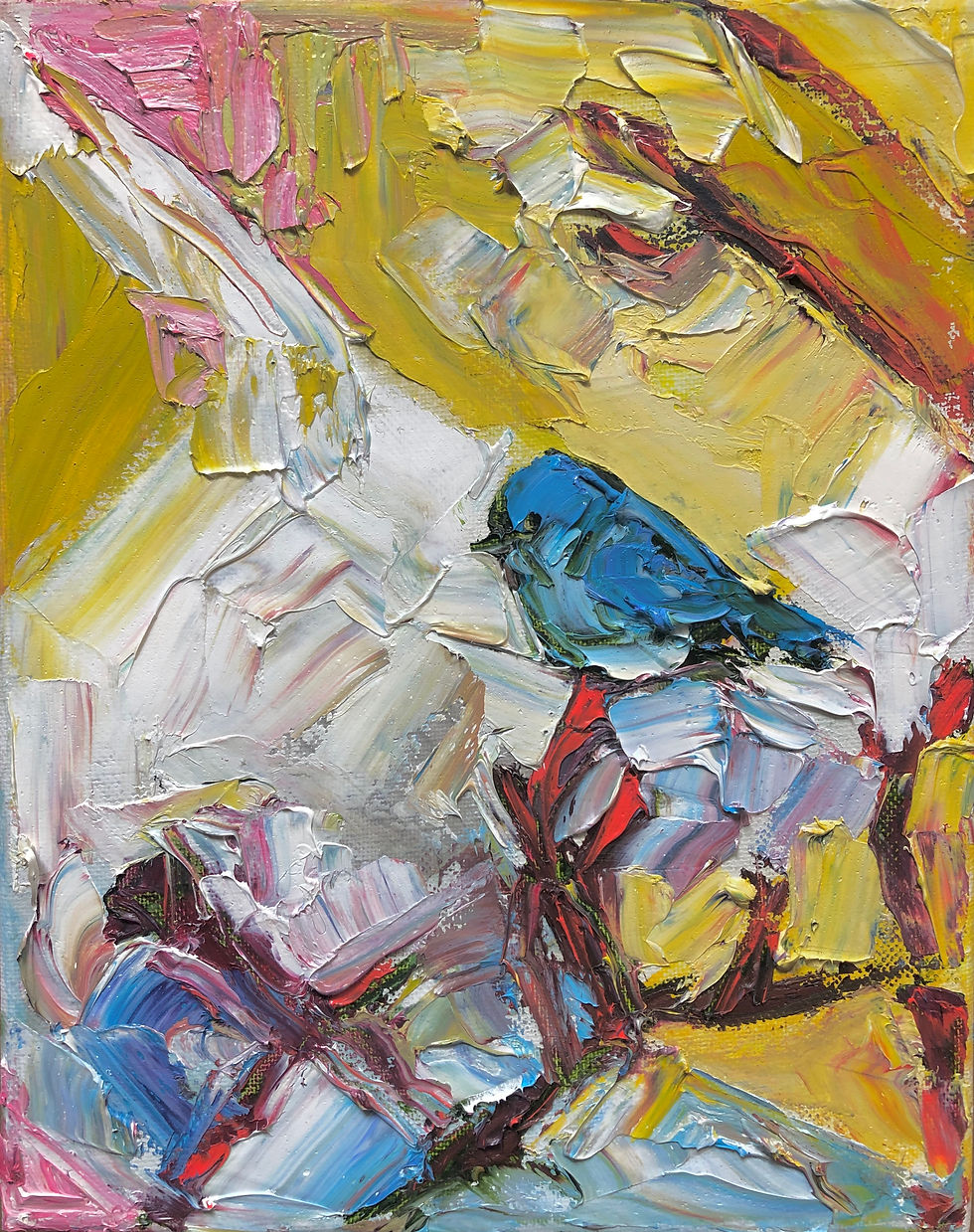 Little Bird