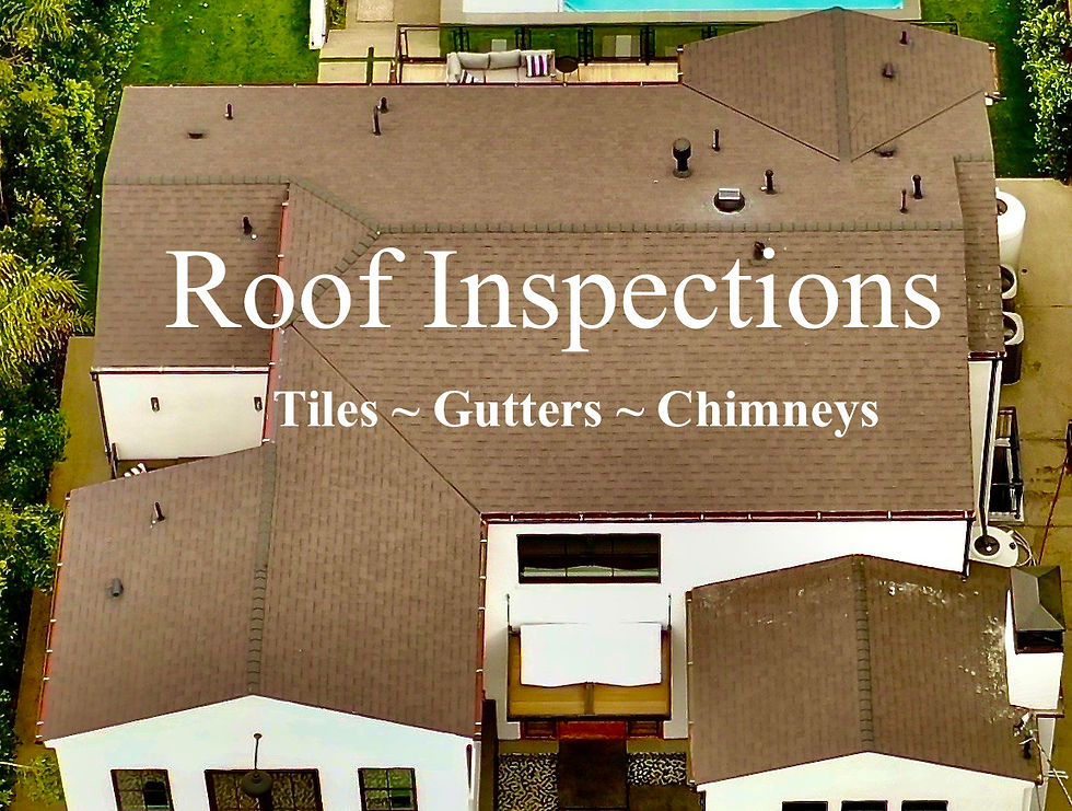 Roof, gutter, chimney Inspections - Drones by Merlin