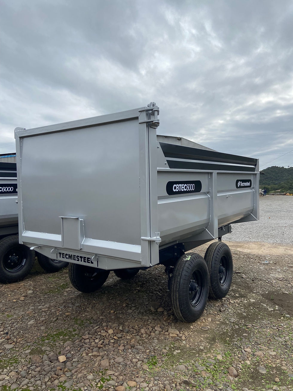 Miniatura: CBTEC 6000