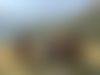 Australian Adventure: Week 28, January 29-February 4, 2023