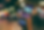 Lost-Paradise-Mockup_2.png
