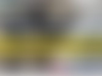 An Essay on Police Safety Regarding Ambush Attacks on Law Enforcement