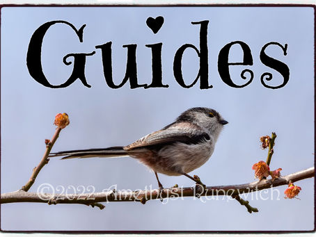 Guides