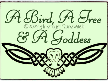 A Bird, A Tree & A Goddess
