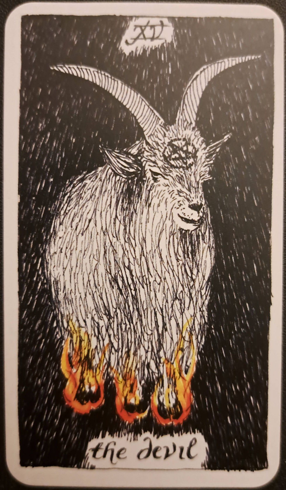 ree