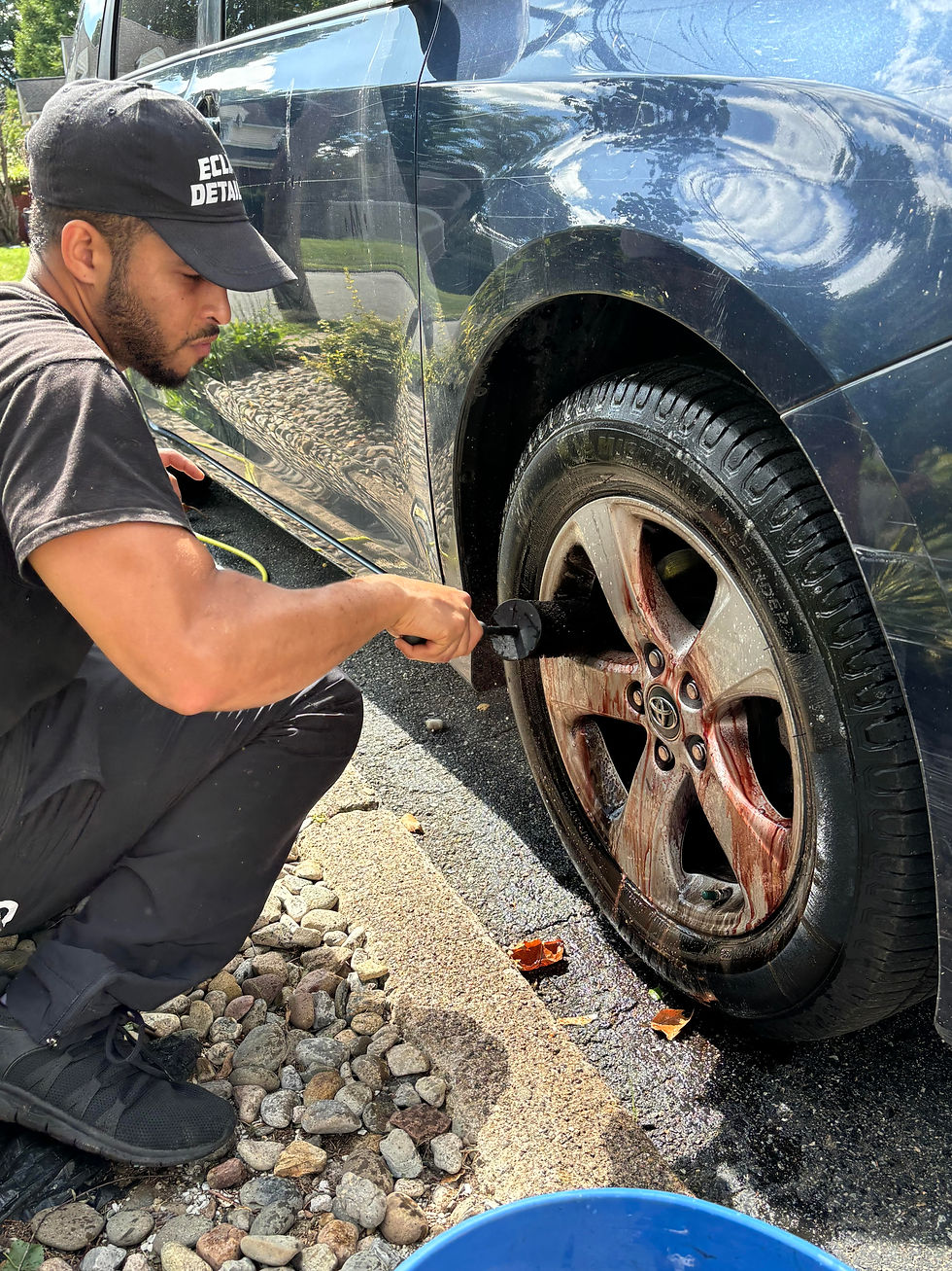 wheel clean exec