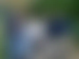 The Vital Role of Family in Psychiatric Treatment