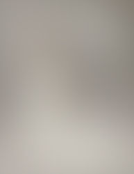 WONA CONCEPT                                White edit collection                           January 2026 Edition