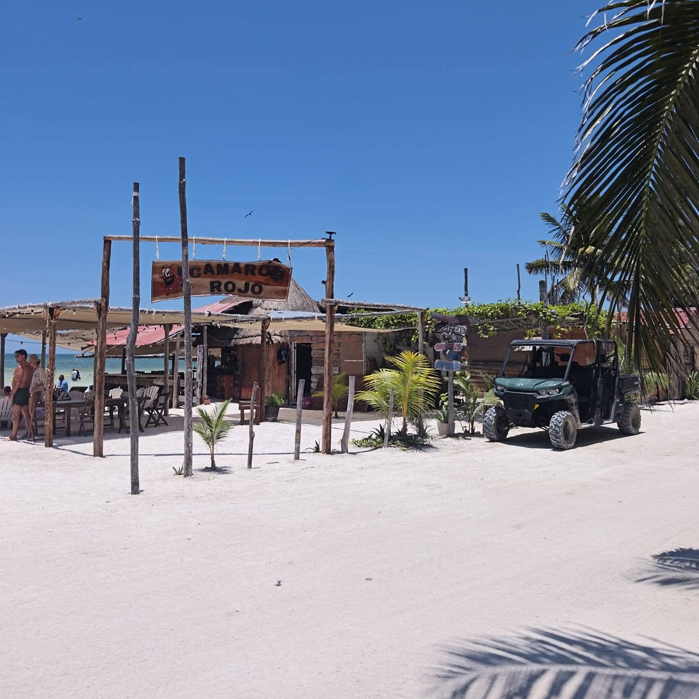 Strandbar mit Schild CAMARON ROJO auf der Insel Holbox, Palmen und UTV auf weißem Sand unter blauem Himmel; ein paar Gäste sitzen entspannt draußen.