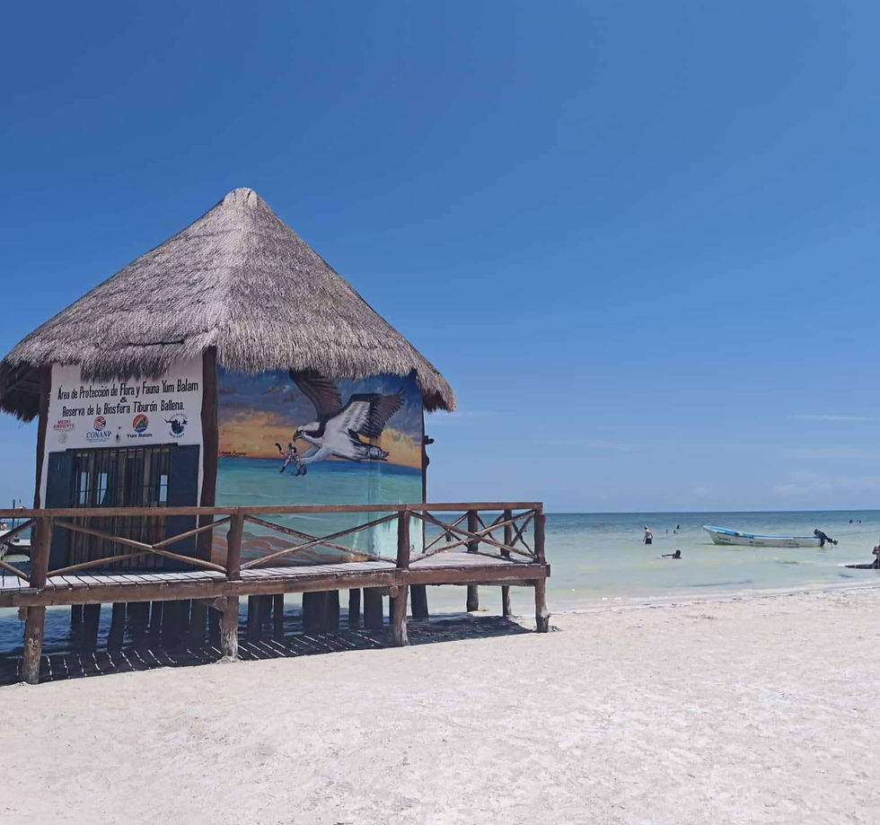 Palapa-Strandhaus mit Schild Área de Protección de Flora y Fauna Yum Balam auf der Insel Holbox, daneben Meer, Boot und Badegäste bei blauem Himmel.