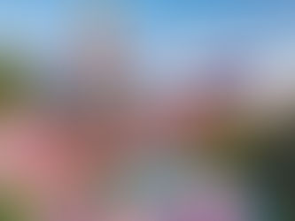 Beste Reisezeit für Chiang Mai