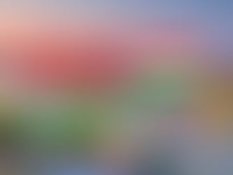 Beste Reisezeit für Budapest