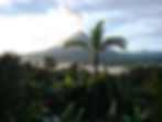 Lush green forest with a smoking volcano in the background, under a cloudy blue sky. Mist rises from the trees, creating a serene mood.