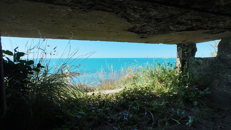 Blick aus einem Bunker auf das blaue Meer, umgeben von Gras und Pflanzen. Ruhige Stimmung, hellblauer Himmel im Hintergrund. Spähposten in Granville