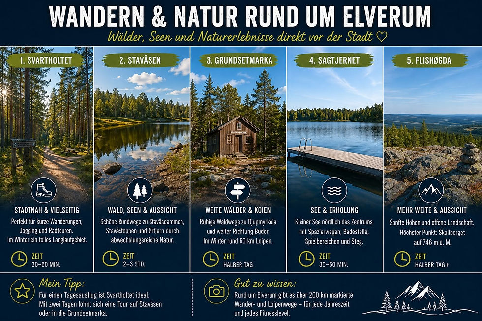 Infografik zu Wander- und Naturzielen rund um Elverum mit fünf Landschaftsfotos, Wäldern, Seen, Hütten und Aussichtspunkten.
