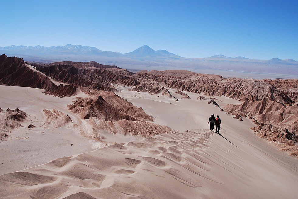 Zwei Personen wandern über eine sandige, hügelige Wüstenlandschaft unter klarem blauem Himmel. Berge sind in der Ferne sichtbar. Chile