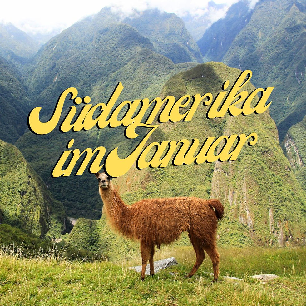 Ein braunes Lama steht vor grünen Bergen. Text "Südamerika im Januar" in gelber Schrift über dem Bild. Südamerika im Januar