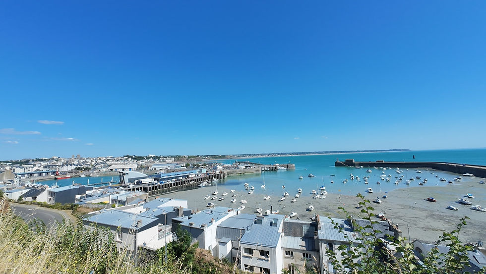Küstenstadt mit Hafen, vielen Booten im Wasser und blauem Himmel. Häuser im Vordergrund, entspannte, sonnige Atmosphäre. Blick auf den Hafen von Granville